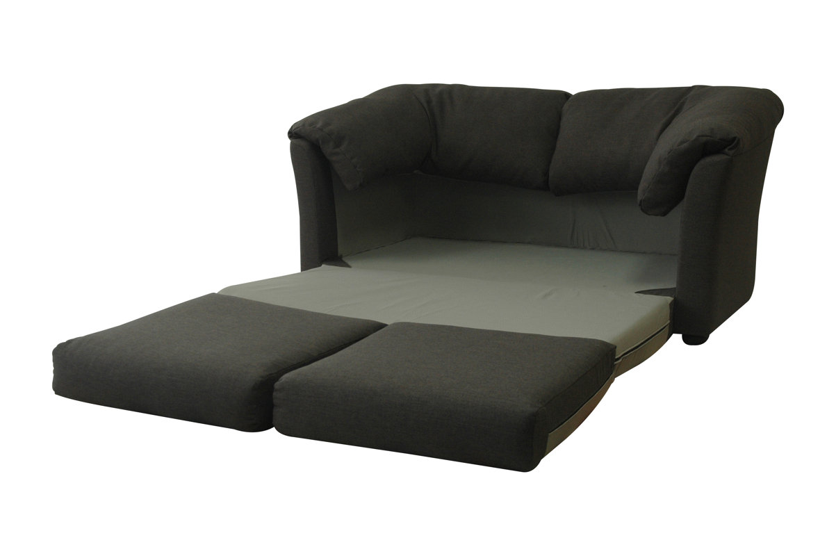 Fox Hill Trading Cozy Ultra Lightweight Sleeper Sofa & Reviews Wayfair